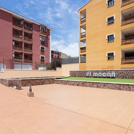 Lucia Dream's Palm-mar