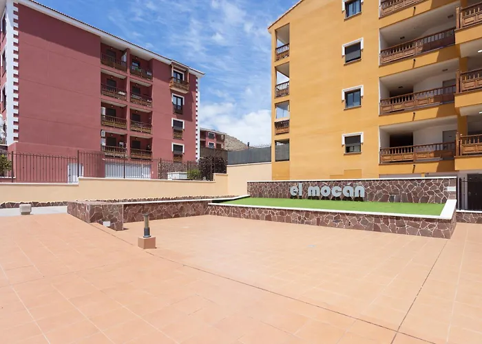 Lucia Dream's Palm-mar